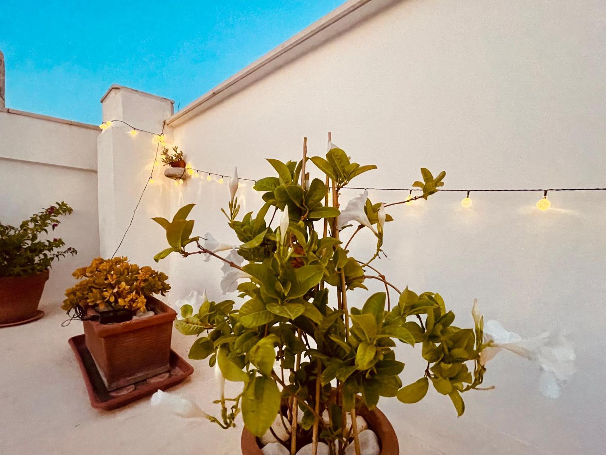 Le Nicchie Villa Bisceglie Kültér fotó